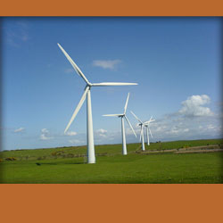 Picture of wind mills